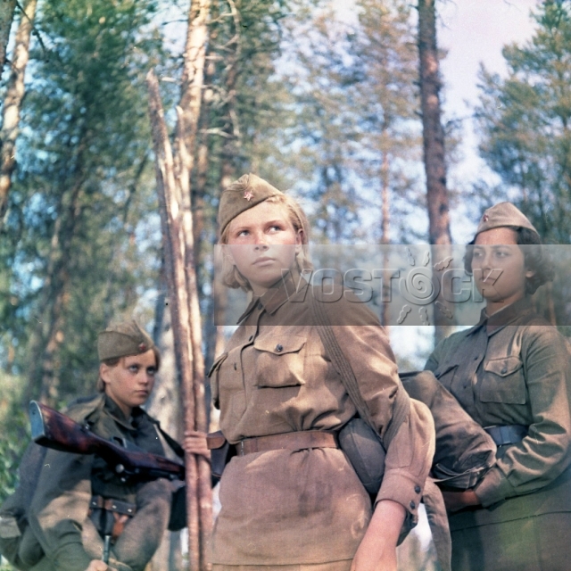 А зори здесь тихие (1972)