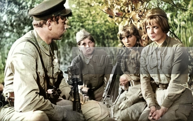 А зори здесь тихие (1972)