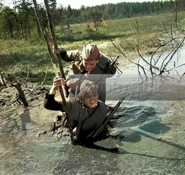 А зори здесь тихие (1972)