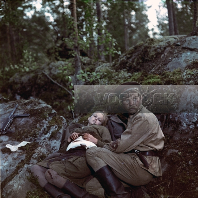 А зори здесь тихие (1972)