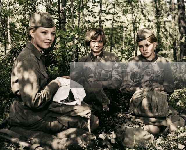 А зори здесь тихие (1972)