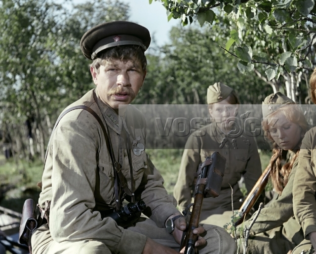 А зори здесь тихие (1972)