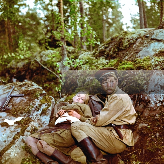 А зори здесь тихие (1972)