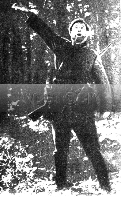 Аэроград (1935)