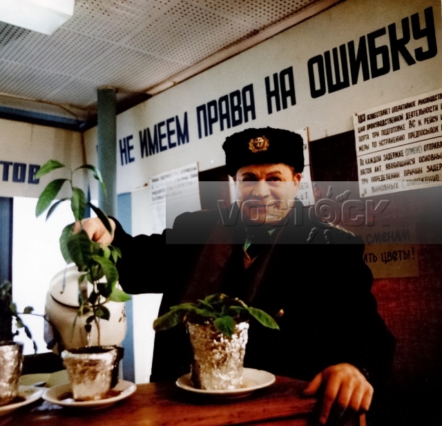 Аэропорт со служебного входа (1986)