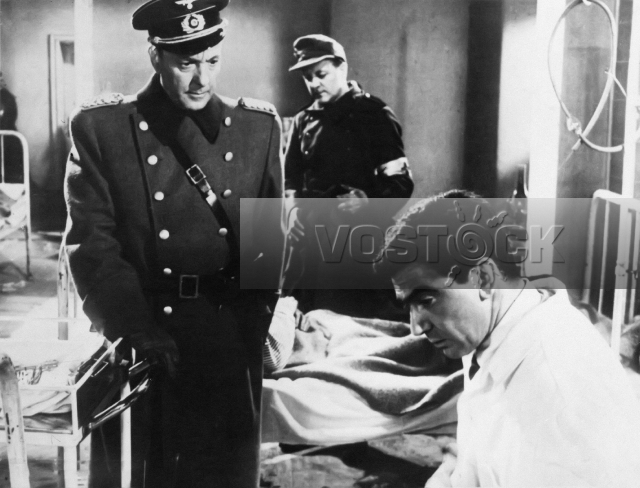 Альба Регия (1961)