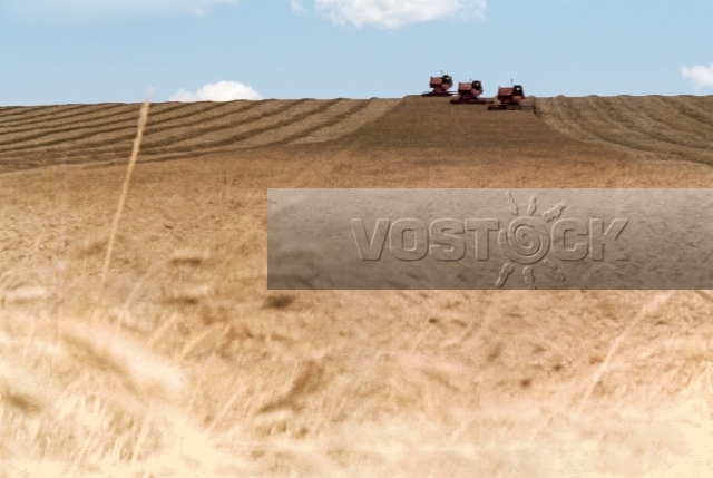 Алтай в моем сердце (1983)