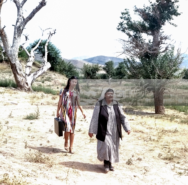 Бабушка-генерал (1982)