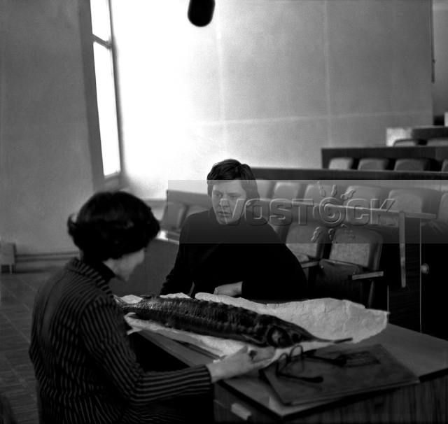 Баламут (1978)