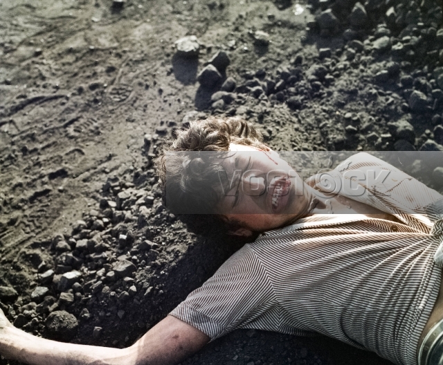 Бегущая мишень (1991)