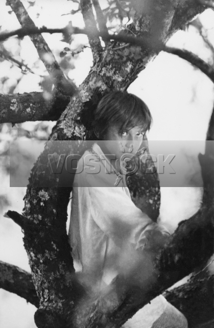 Белая птица с чёрной отметиной (1970)