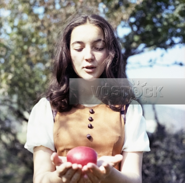 Белая роза бессмертия (1984)