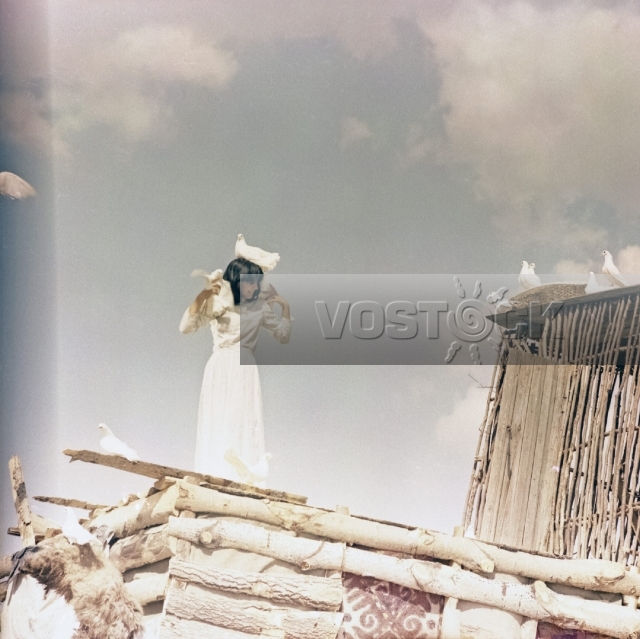 Белые грезы (1985)