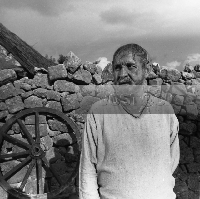 Белый танец (1981)