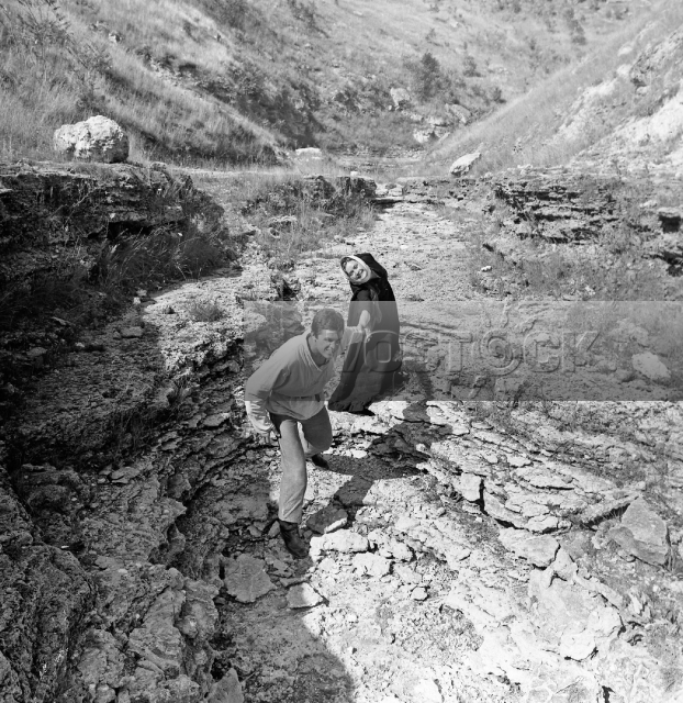 Белый танец (1981)