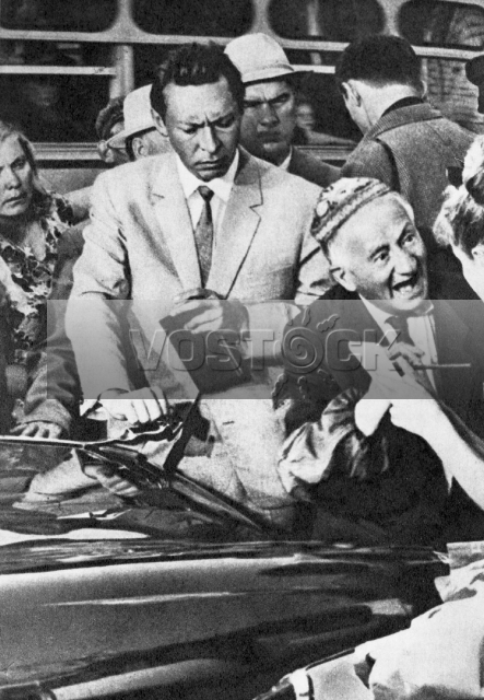 Берегись автомобиля (1966)