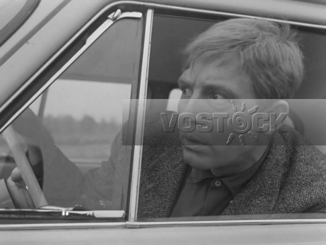 Берегись автомобиля (1966)