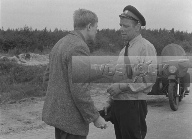 Берегись автомобиля (1966)