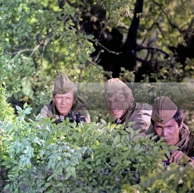 Берем все на себя (1980)