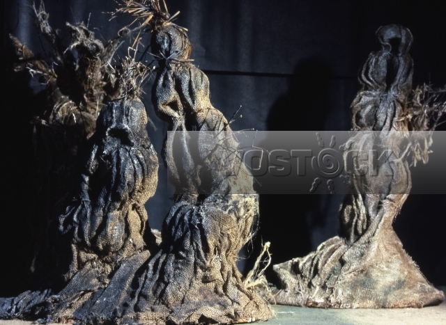 Бездомные домовые (1981)