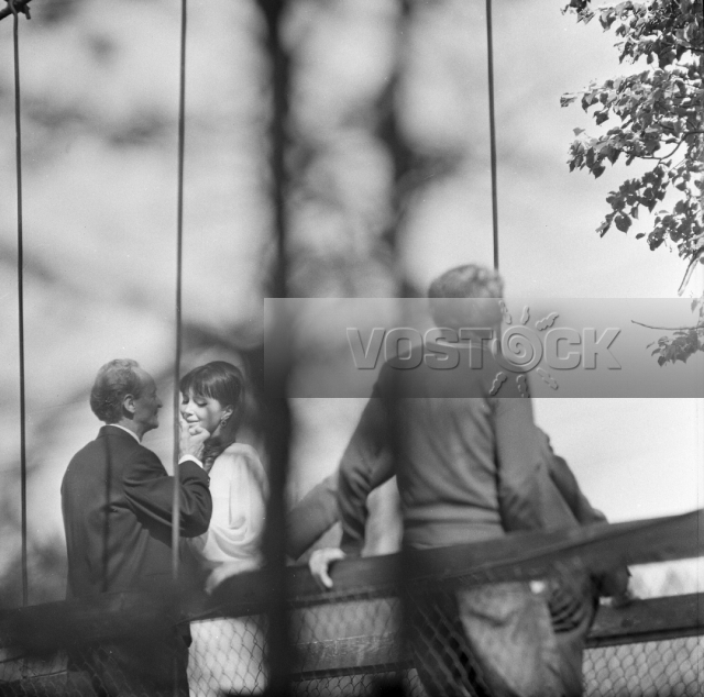 Безумие (1968)