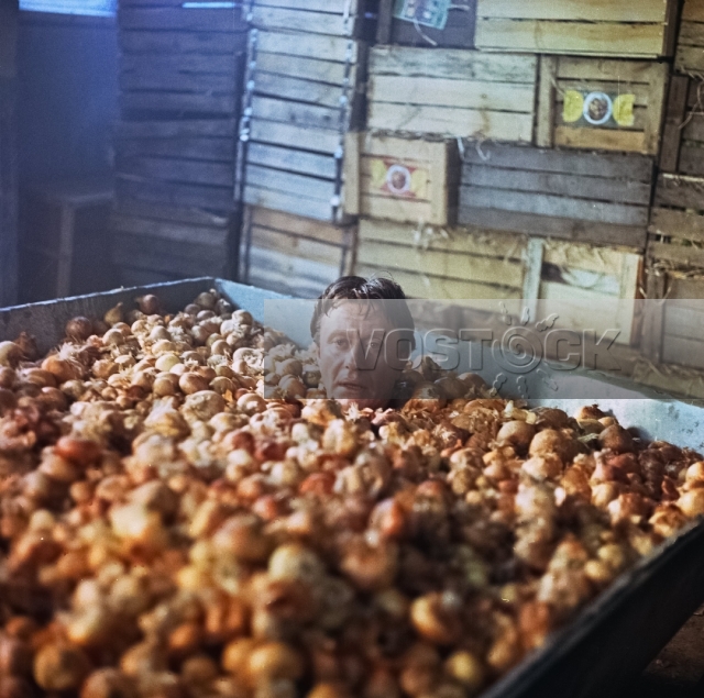 Блондинка за углом (1984)