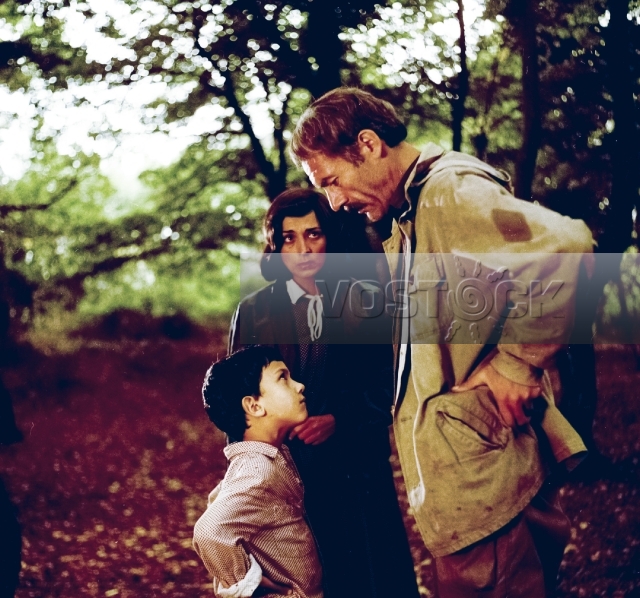 Боль молочного зуба (1987)