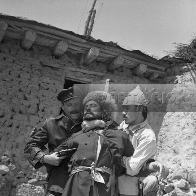 Большая короткая жизнь (1981)