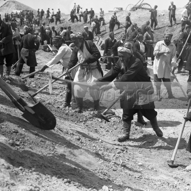 Большая короткая жизнь (1981)