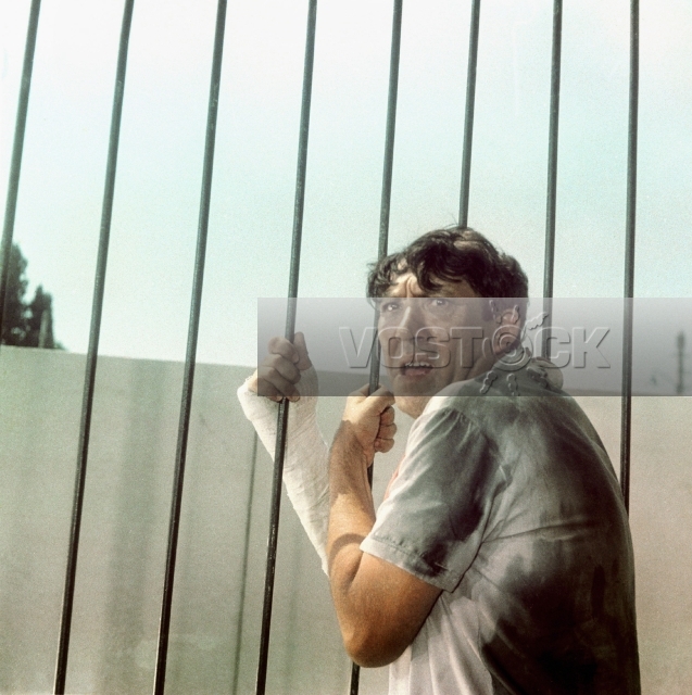 Бриллиантовая рука (1968)