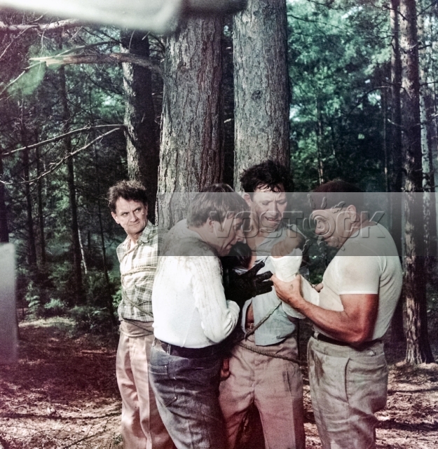 Бриллиантовая рука (1968)