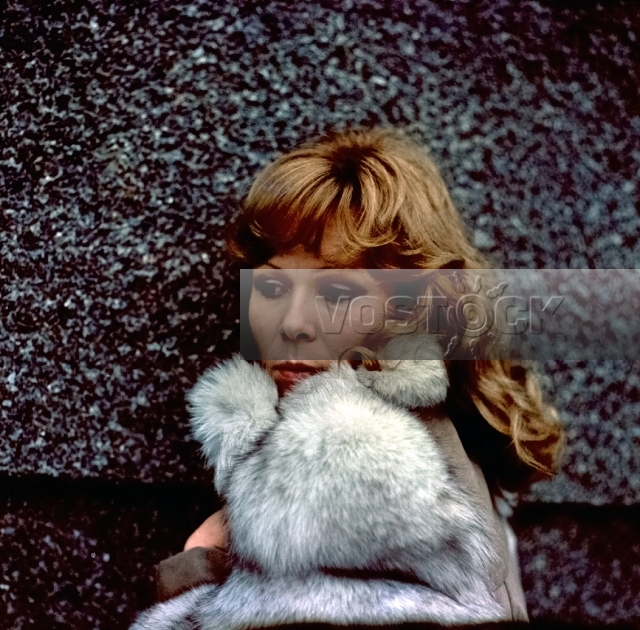 Букет мимозы и другие цветы (1984)