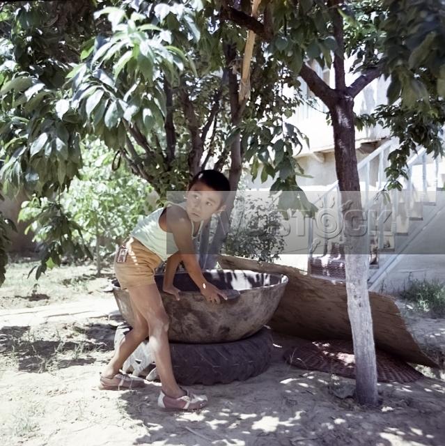 Бунт невесток (1985)