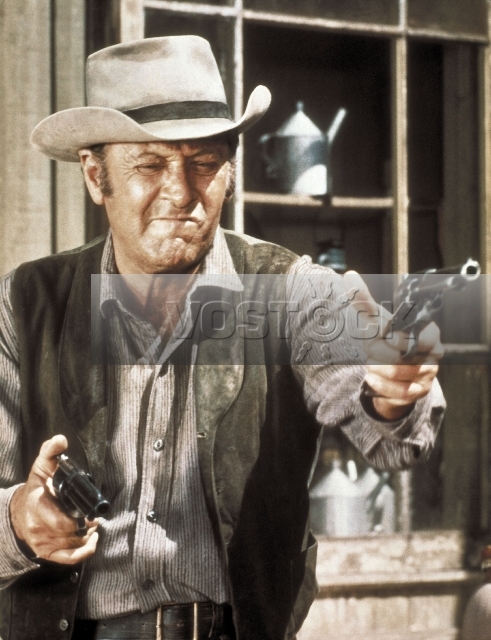 Дикая банда (1969)