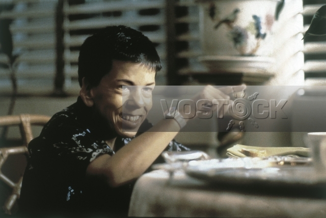 Год опасный для жизни (1982)