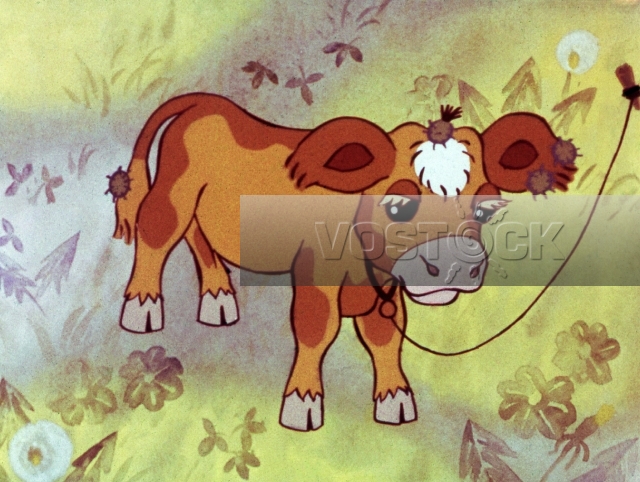 Комаров (1975)