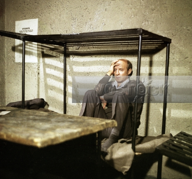 Комментарий к прошению о помилован