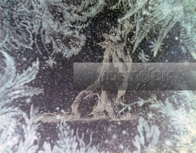 Кошка, которая гуляла сама по себе (1988)