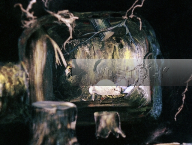 Крот и Заяц (1978)