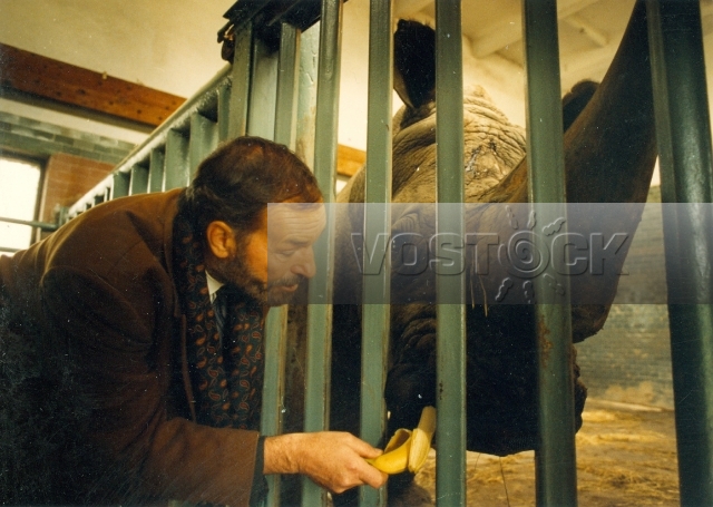 Мужчина для молодой женщины (1996)