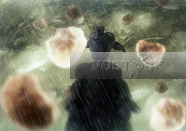 Наваждение (1989)