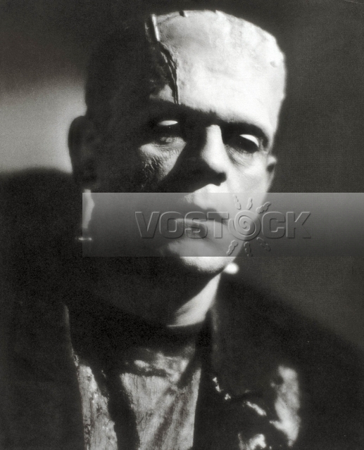 Невеста Франкенштейна (1935)