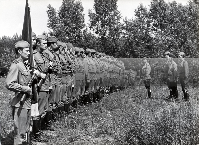 В бой идут одни 