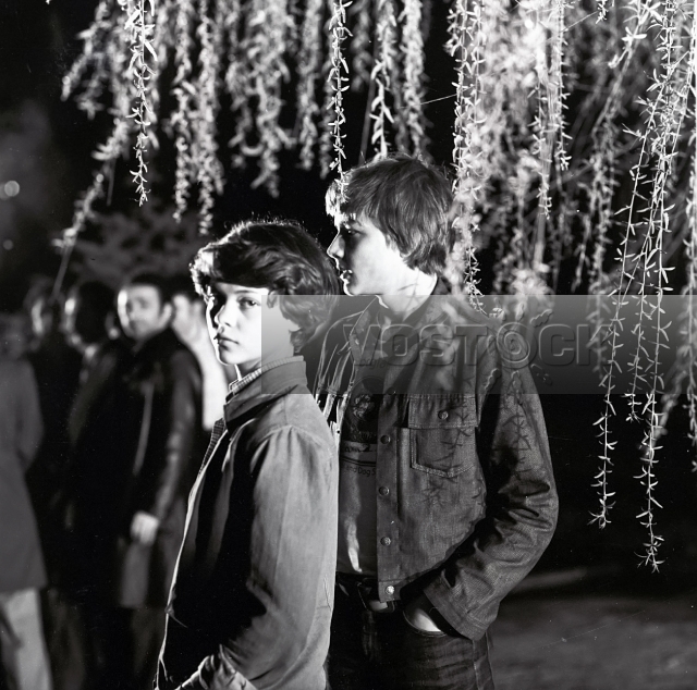 В моей смерти прошу винить Клаву К. 