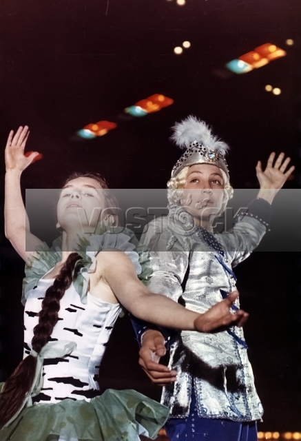 В тридевятом царстве… (1970)