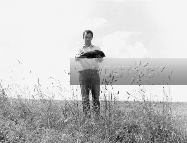 В заросшую канаву легко падать (1986)