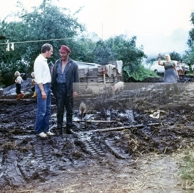 В заросшую канаву легко падать (1986)