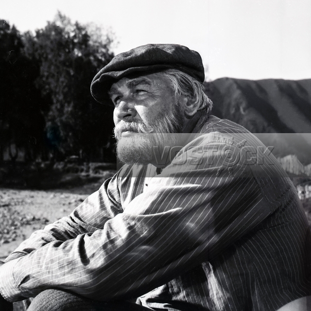 Ваш сын и брат (1965)