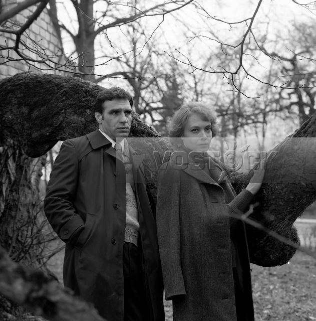 Вечерний вариант (1980)