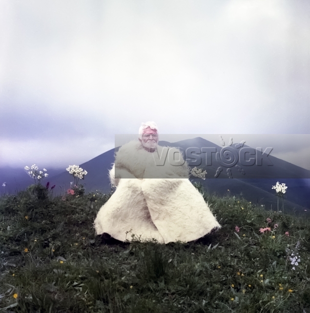 Великий поход за невестой (1984)